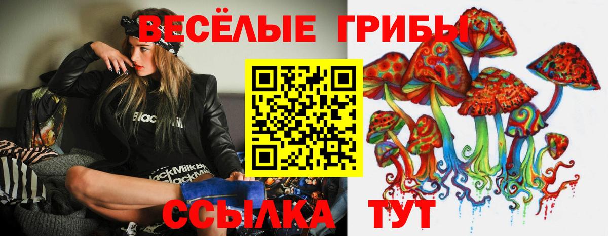 Пугачёв  Псилоцибиновые грибы Cubensis  Вход с VPN 